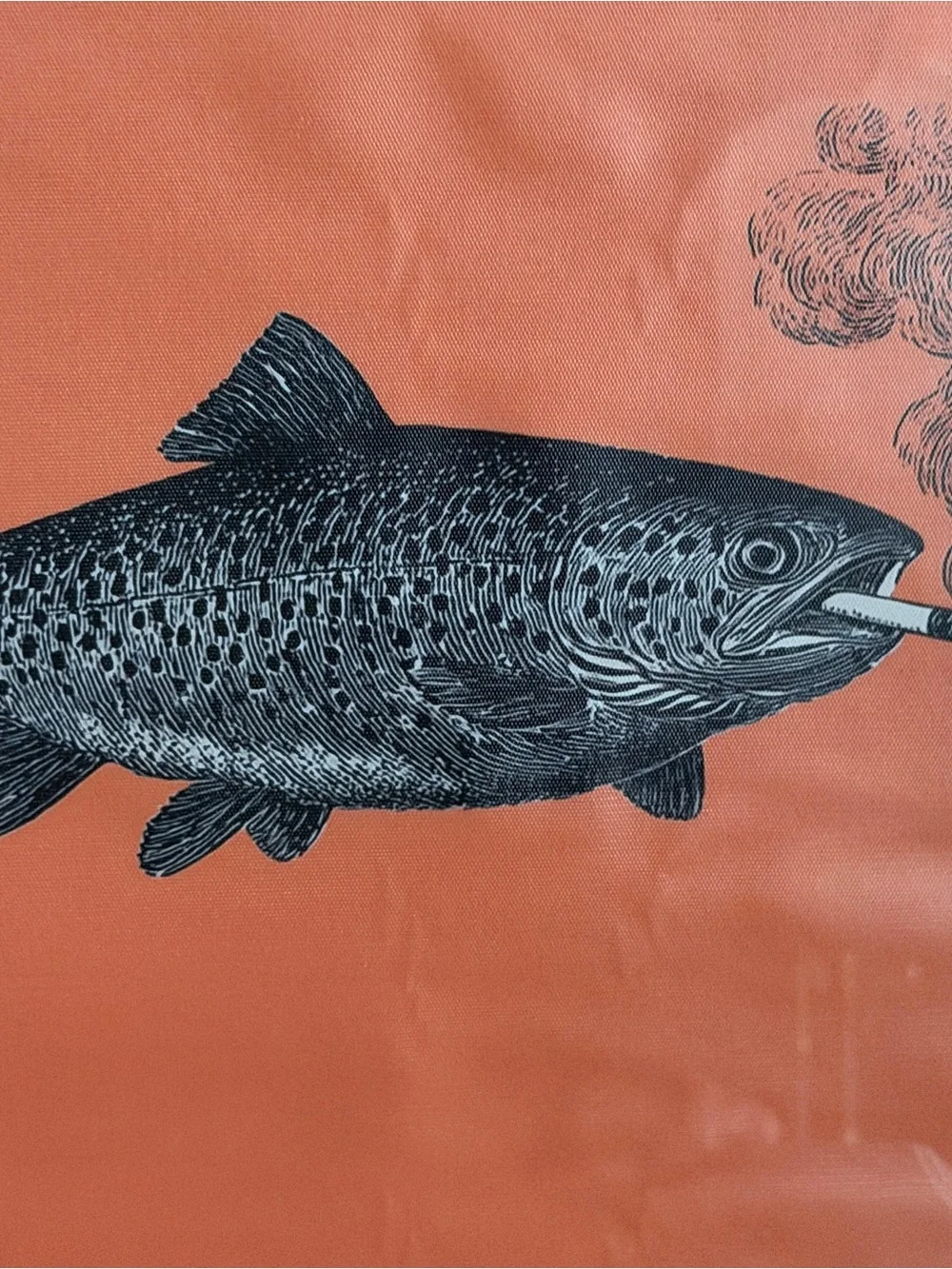 Trout Fish Smoking a Cigarette Vintage Style Canvas Wall Art Print Wood Framed